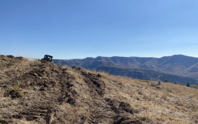 Wildfire Damage to Sheep Creek Prompts Deer And Elk Range Habitat Project
