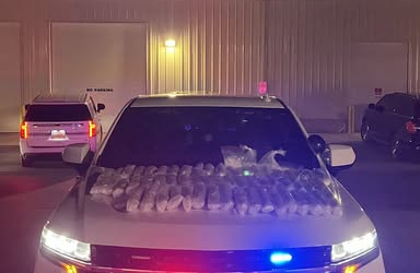 Uintah County Man Transporting Mega Drug Haul Arrested In Utah County