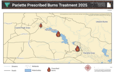 Prescribed Burns Scheduled At Pariette Wetlands