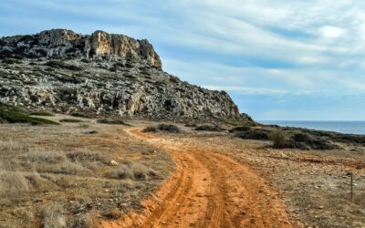 What’s The Future Of The Dinosaur North Travel Management Plan?