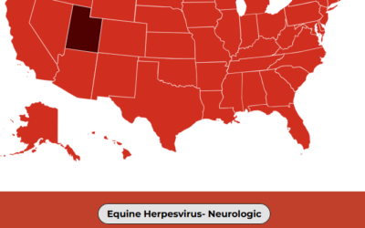 Equine Herpesvirus Disease Outbreak In Duchesne County