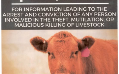 DCSO: $20,000 Reward To Help Stop Livestock Theft
