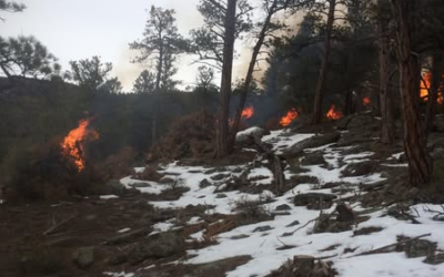 Ashley National Forest Burning Slash Piles In Dry Fork And Brownie Canyon Area