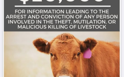 Reward Offered As Authorities Investigate Livestock Theft And Malicious Killings