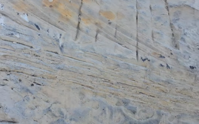 Reward Offered For Information On Doc’s Beach Vandalism