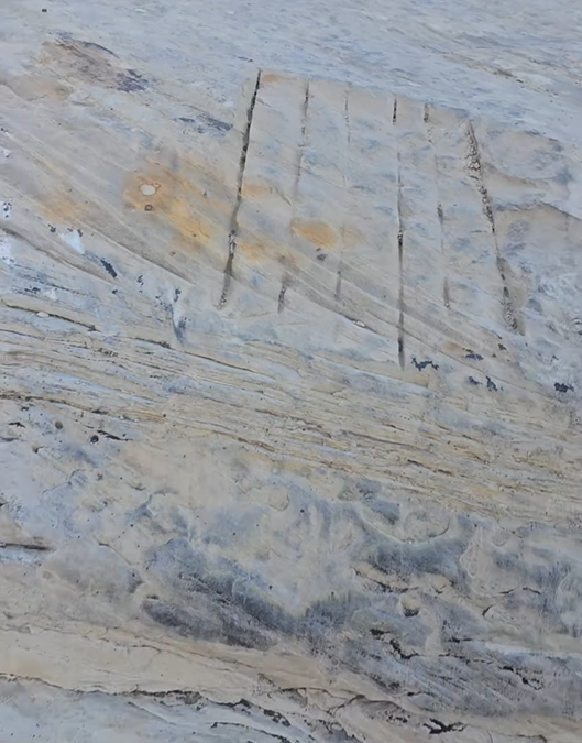 Reward Offered For Information On Doc’s Beach Vandalism