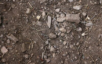 Uintah County Man Facing Felony Charge For Stealing Dirt And Lots Of It