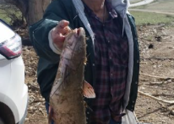 Martin Spencer Davis