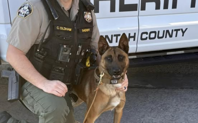 Welcome K9 Murph And K9 Sarik, The Newest Local K9 Officer Recruits