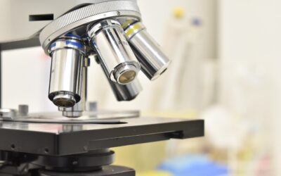 Local Middle Schoolers Compete At 2025 Ritchey Science and Engineering Fair