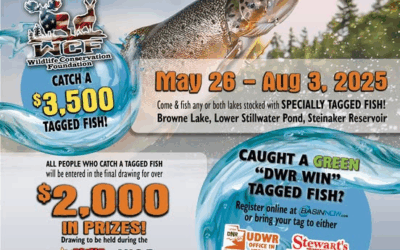 Time For Another Summer Of ‘Fishing With The Fox’