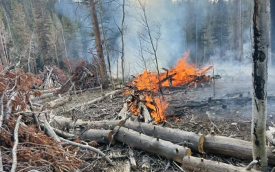 Prescribed Burning Visible From Mirror Lake Highway