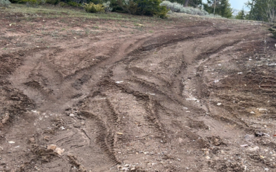 Some Forest Roads Now Open; Some Impassable Due To Snow And Mud
