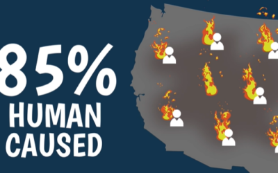 Taking Wildland Fire Prevention Seriously