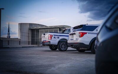 Woman Arrested On Drug And Distribution Charges