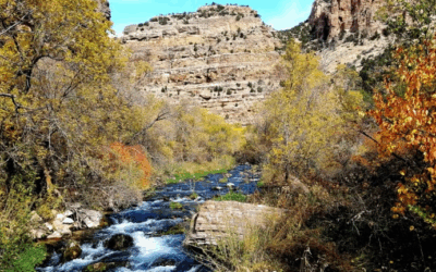 Dinosaur National Monument Swimming Hole Makes List