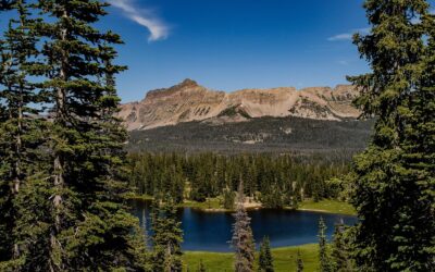 Toddler Dies In Tragic Accident In Uintas