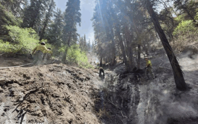 Sterling Fire 100% Contained 