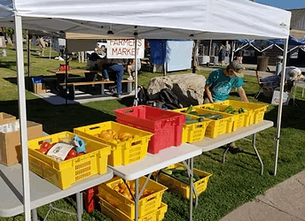 For Health’s Sake: Visit And Volunteer At Local Farmers Markets