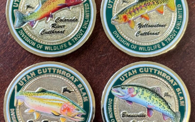 DWR: Cutthroat Slam Releases Newest Medallion