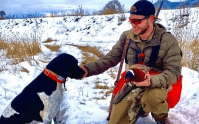 Man Crawls 11 Hours To Truck After UTV Crash In Uinta Mountains