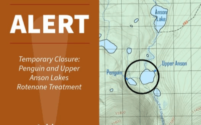 Rotenone Treatment Means Penguin And Upper Anson Lakes Closed 7/15-7/22