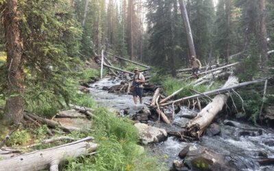 Rotenone Treatments Coming Up In High Uintas