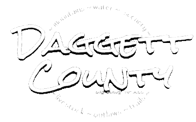 Daggett County Preliminary Election Results