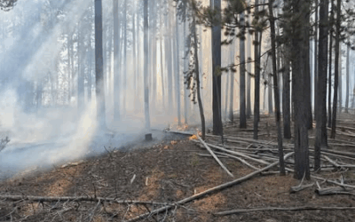 Davis Hollow Fire Prompts Stage 1 Fire Restrictions On Ashley National Forest