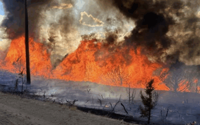 Critical Fire Weather Continues As Crews Battle Western Colorado Wildfires