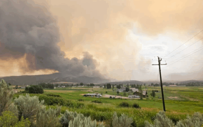 Winds Continue To Increase Fire Behavior in Rio Blanco County