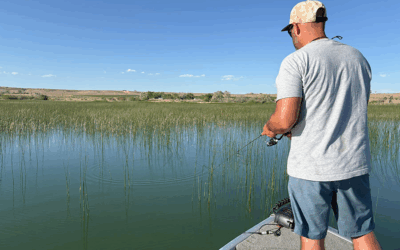 Anglers At Flaming Gorge And Pelican Lake Asked To Target Specific Fish
