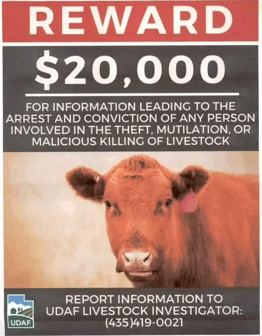 Another Livestock Killing In Tabiona Area