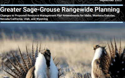 Updated Sage Grouse Rules Proposed Under Trump Administration