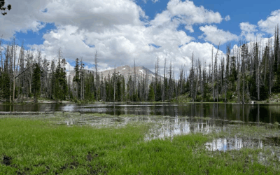 Tips For Fishing The High Uintas