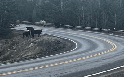 UDOT Announces Additional Project And Reminder For US-191 In Indian Canyon