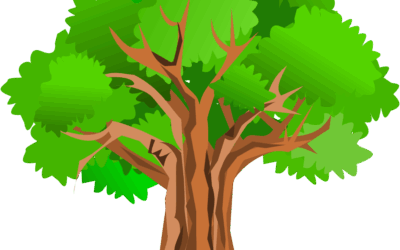 Support Grows For ‘Fix Our Forests Act’