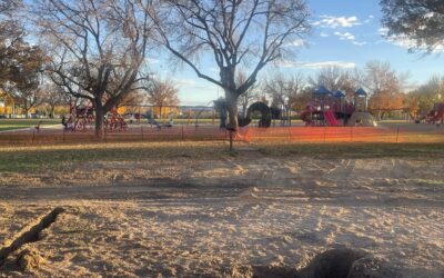 Historic Gazebo Moved From Vernal Park As Part Of Transfer To DUP Museum