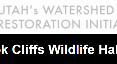 Book Cliffs Project To Improve Wildlife Habitat