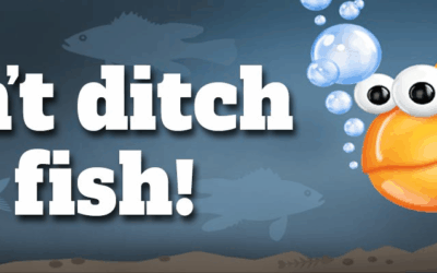 Don’t Be A ‘Bucket Biologist’ – Illegal Stocking/Dumping Of Fish A Big Deal