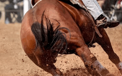 Equine Events Postponed As EHV-1 Outbreak Monitored
