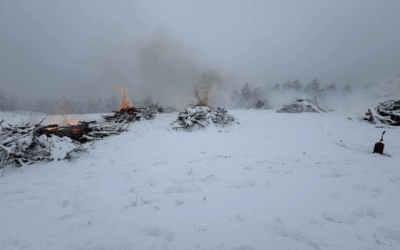 Successful Prescribed Burns In Ashley National Forest