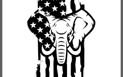 Uintah County Republican Party Standing Against Congressional Map Selection