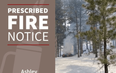 Ashley National Forest Announces Plans For Prescribed Burns