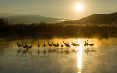 Winning Uintah County Photo Featured In 2026 “My Utah” Calendar