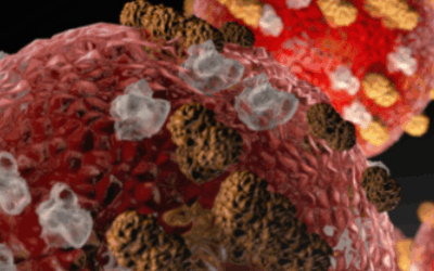 Uintah School District Urging Families To Be Aware Of Measles Symptoms