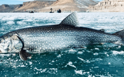 Flaming Gorge Fishing Events Still Happening