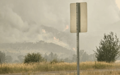 Agricultural Community Steps Up To Help Operations Most Impacted By Lee Fire