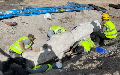 New Dinosaur Fossils Excavated At Dinosaur National Monument