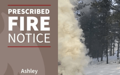 Prescribed Burn Starting Today In Ashley National Forest 